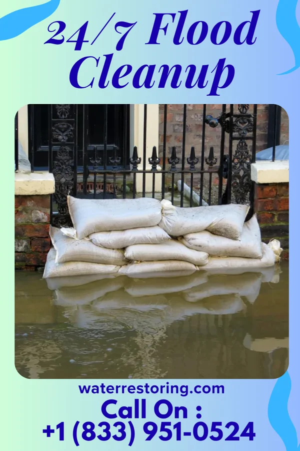 24/7 Flood Cleanup in Regal, MN