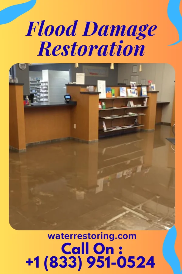 Flood Damage Restoration in Regal, MN