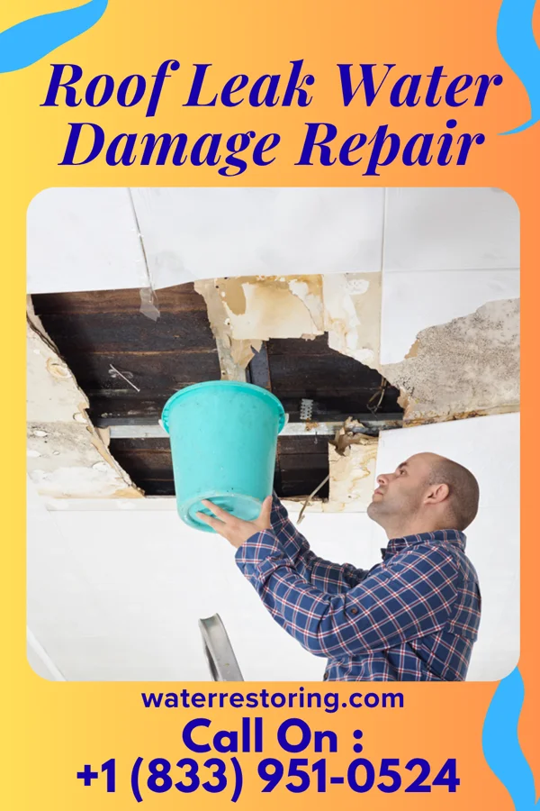 Roof Leak Water Damage Repair in Regal, MN