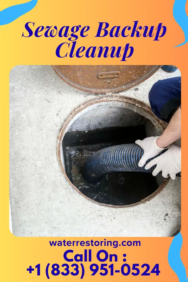 Sewage Backup Cleanup in Regal, MN